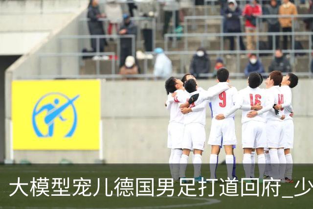 大模型宠儿德国男足打道回府 少了人性观察数据等于废纸